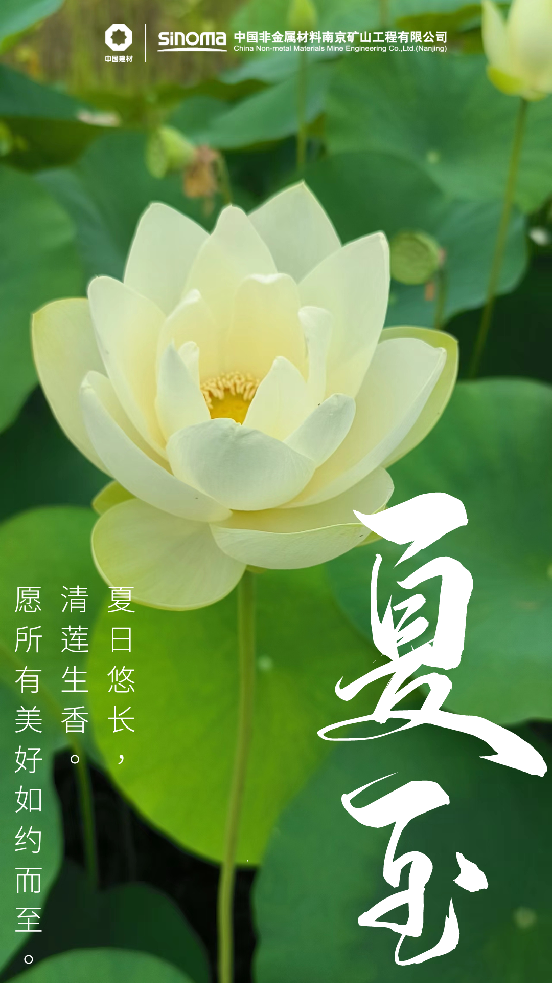 綠色中國風(fēng)夏天夏至節(jié)氣手機(jī)海報 (2).png